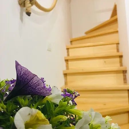 House Corte Dei Matte' Rovigno