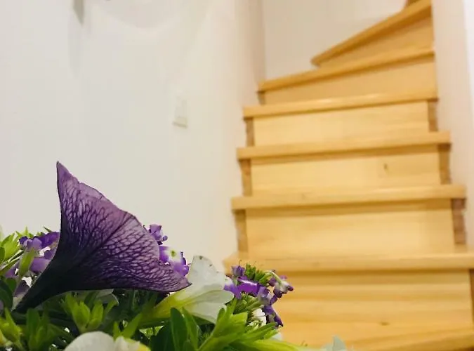 House Corte Dei Matte' Rovinj