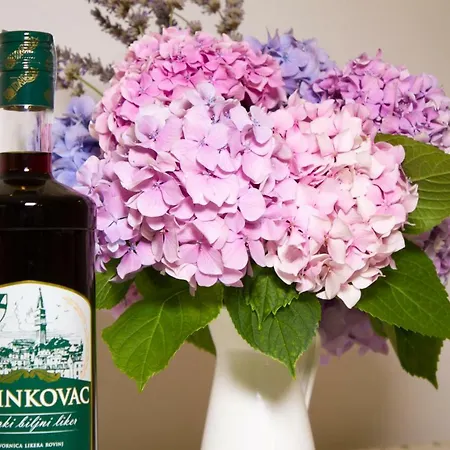 House Corte Dei Matte' Apartament